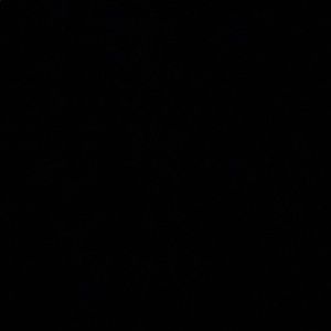 Meet your Posher, Mariah